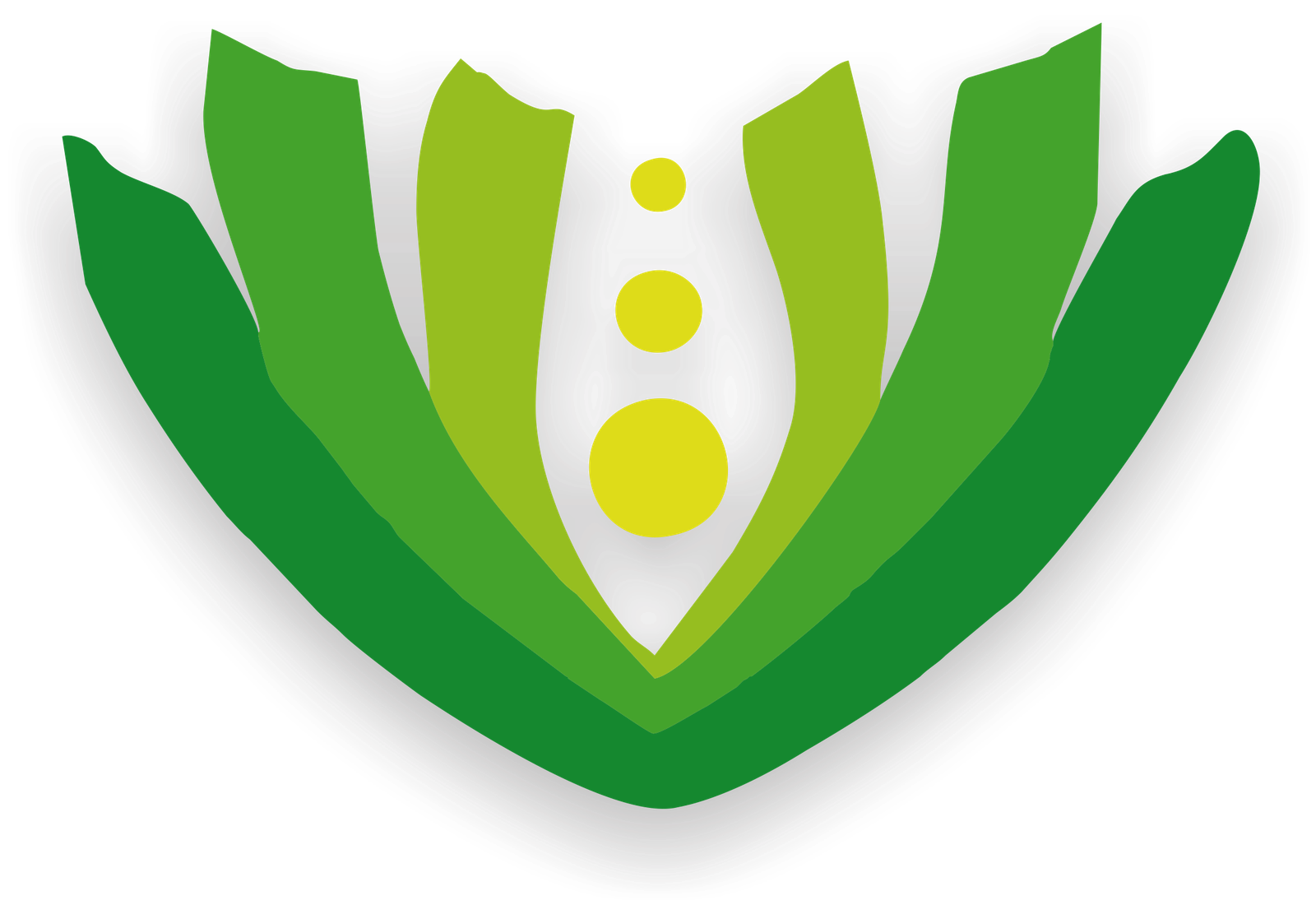 Municipalidad de Florencio Varela